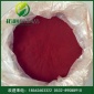 厂家供应PVP-1聚维酮碘 聚维酮碘1公斤起订医用级聚维酮碘