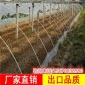 景龙常年供应无机玻璃钢大棚骨架/质优价廉/热销全国